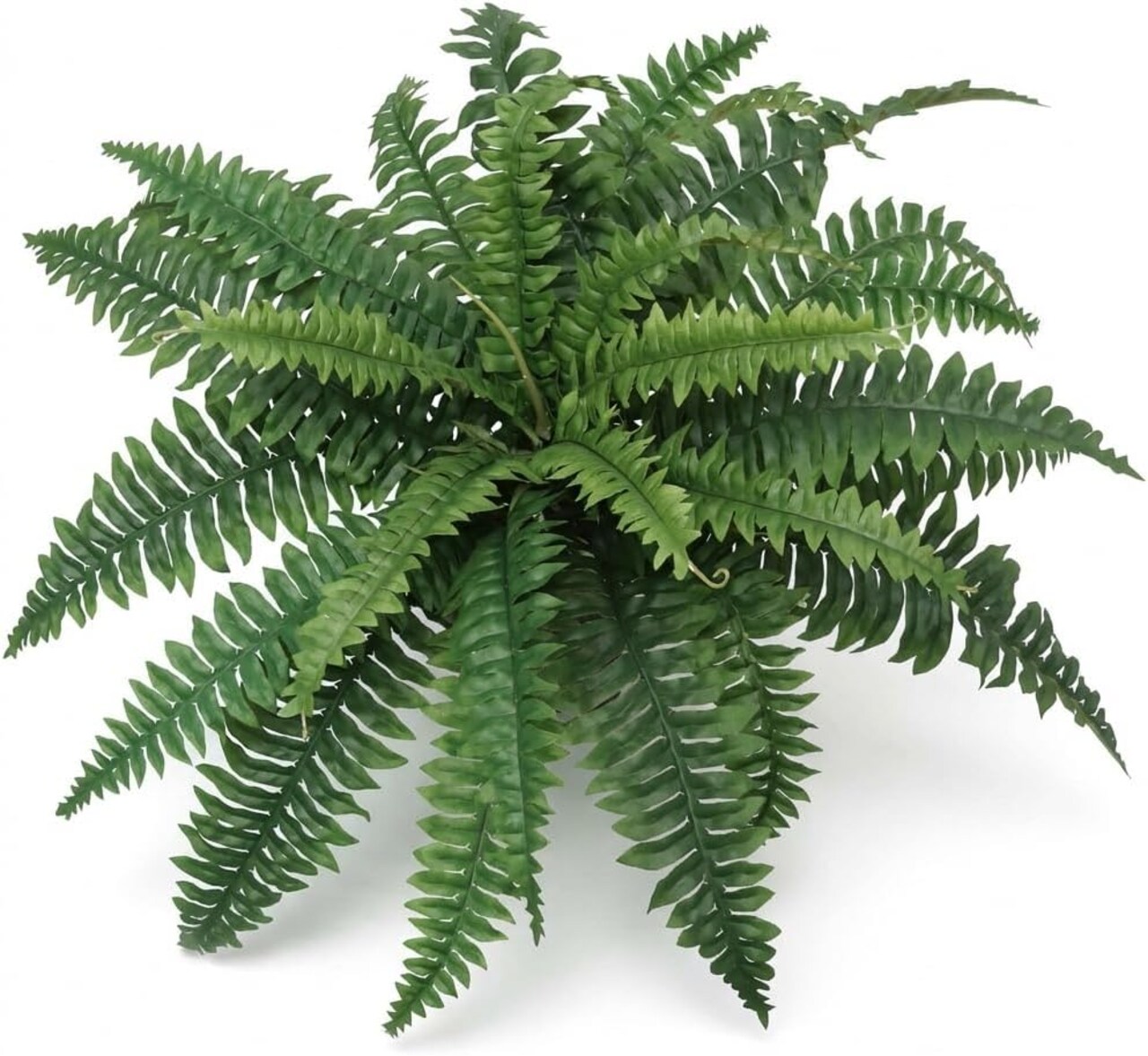 2-Pack – 28” Artificial Boston Ferns with 25 Silk Fronds – Lifelike Faux Greenery for Indoor/Outdoor Décor – No Pot Included